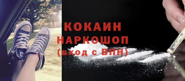 прущие грибы Алексин