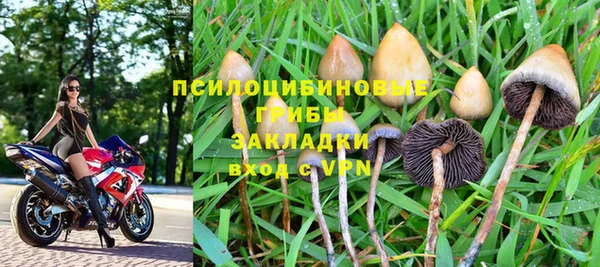 прущие грибы Алексин