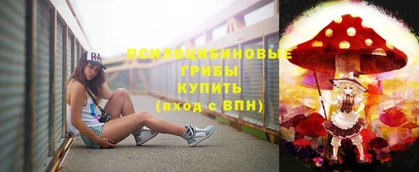 прущие грибы Алексин