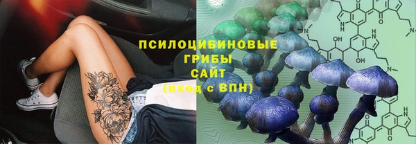 сатива Алзамай